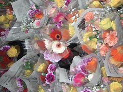 平成20年度 第38回 総会・懇親会